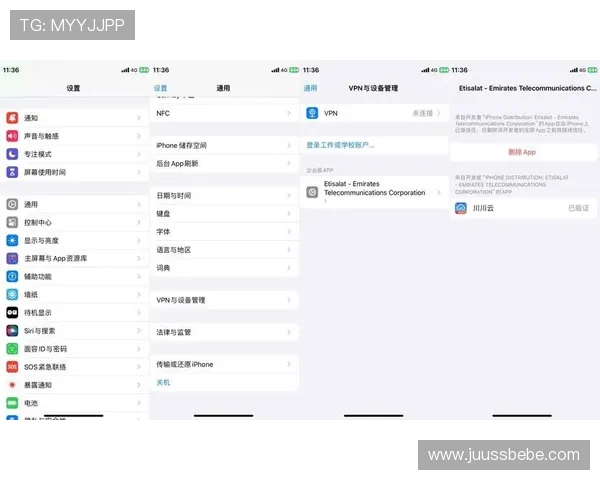 苹果用户必看凯发客户端免费下载安装指南及常见问题解决方案